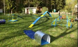 Przed wakacjami psi park na osiedlu Baranówka w Rzeszowie