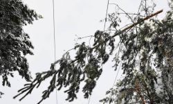 Synoptyk IMGW: w niedzielę silne wiatry nad całym krajem