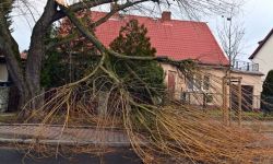 PSP: w związku z silnym wiatrem do godz.12. strażacy interweniowali blisko 9 tys. razy