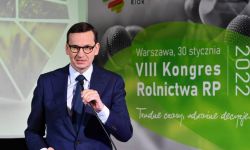 Morawiecki: obniżamy ceny nawozów, popieramy odstrzał dzików