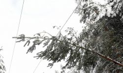 Wicedyrektor RCB: bez prądu pozostaje ponad 318 tys. odbiorców; najwięcej w woj. zachodniopomorskim