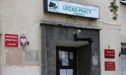 MRiPS: w styczniu stopa bezrobocia rejestrowanego osiągnęła poziom 5,6 proc.