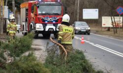 PSP: statniej doby ponad 24,8 tys. interwencji związanych z silnym wiatrem