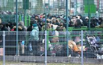 Na przejściach granicznych z Ukrainą odprawiono już ponad 377 tys. osób