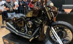 Weekend z Harley-Davidson Street Bob w Rzeszowie  