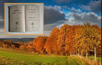 Karolina Wojnarowska. Historia pisarki z galicyjskiej wioski