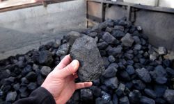 PGG: nawet 30 tys. osób dziennie chce kupić węgiel przez internet