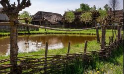 Darmowe zwiedzanie w języku ukraińskim w Kolbuszowej