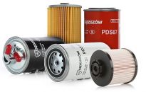 PZL Sędziszów - od filtrów po elektromobilność