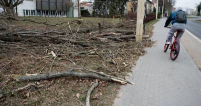 PSP: ponad 1,1 tys. interwencji w związku z silnym wiatrem; ponad 8 tys. odbiorców bez prądu