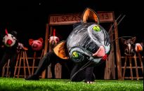 Premiera w Teatrze Maska - rozśpiewany 