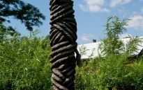 Uniwersytet Ludowy w Woli Sękowej 