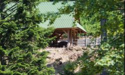 Dzień Żubra w sobotę w Lutowiskach