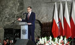 Premier: rodzice zastępczy są superbohaterami