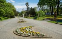 Rymanów-Zdrój - haust zdrowia w uzdrowisku