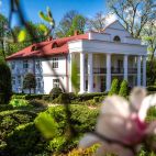 Tysiące zielonych okazów w Arboretum w Bolestraszycach  
