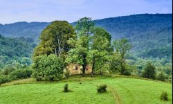 Kwintesencja Bieszczadów. Z Krywego do Tworylnego