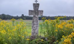 Roztocze. Słynna bruśnieńska kamieniarka