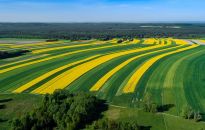 Geoturystyka na Roztoczu - podróż w czasie do świata sprzed milionów lat  