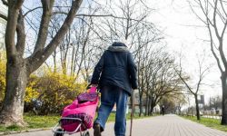 Senat przyjął bez poprawek ustawę w sprawie czternastej emerytury