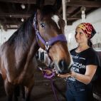 Szkółka Promyk. Jazda konna i hipoterapia w Albigowej