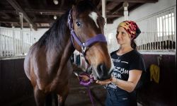 Szkółka Promyk. Jazda konna i hipoterapia w Albigowej