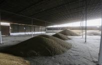 Przywódcy najbogatszych państw świata: wszyscy pracujemy nad tym, by umożliwić Ukrainie eksport zboża