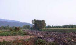 Serbski minister obrony: ukraiński samolot przewoził serbską broń do Bangladeszu