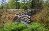 Bieszczady. Torfowisko w Tarnawie Niżnej z nową kładką