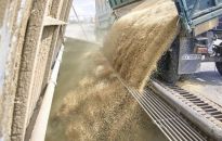 Prezydent Zełenski: Ukraina rozpocznie eksport zboża ustalonymi korytarzami