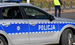 Lubelskie: zatrzymano właściciela psów, które zagryzły 48-latka; wniosek prokuratury o areszt