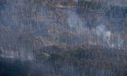 Polscy strażacy w Czechach: sytuacja jest już lepsza