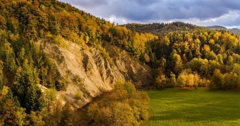Nowy rezerwat przyrody w Beskidzie Niskim ze ścianą Olzy