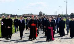 Abp Jędraszewski: Edyta Stein wstąpiła w ślady Maksymiliana Kolbego