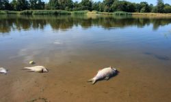 MSWiA: komendant główny policji wyznaczył 1 mln zł nagrody za pomoc w wykryciu sprawców katastrofy