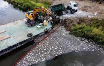 Państwowy Instytut Badawczy: jeszcze dziś zostaną zakończone badania nad kolejnymi próbkami śniętych ryb