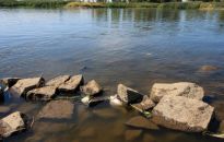 Wojewoda zachodniopomorski: w Odrze są żywe ryby, wiele pływa przy powierzchni przez braku tlenu w wodzie