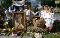 Zielne bukiety i dożynkowe wieńce