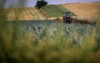 Wicepremier Kowalczyk: KE zatwierdziła polski Krajowy Plan Strategiczny dla WPR