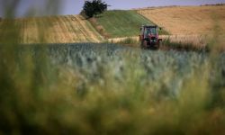 Wicepremier Kowalczyk: KE zatwierdziła polski Krajowy Plan Strategiczny dla WPR