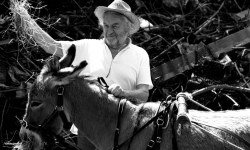 W piątek w Kinie Zorza premiera "IO" Jerzego Skolimowskiego