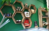 Lasy Państwowe otwarły w Rzeszowie sklep