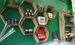 Lasy Państwowe otwarły w Rzeszowie sklep