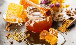 Podkarpackie Święto Miodu już w sobotę