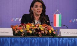 Prezydent Węgier: Grupa Wyszehradzka zgadza się w fundamentalnych kwestiach