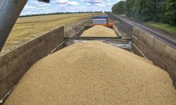 MSZ Ukrainy: 10 mln ludzi na świecie nie otrzymało na czas żywności z powodu polityki Rosji