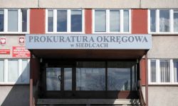 Matka znalezionego w lesie martwego 4-latka i jej partner z zarzutami zabójstwa