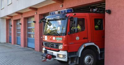 Śląskie: podpalono 500-letni dąb "Cysters" w parku w Rudach