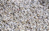 USA: wycofanie się Rosji z umowy ws. zboża wywołało natychmiastowe szkody dla bezpieczeństwa żywnościowego