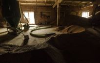 KE, Polska i inne europejskie kraje zapowiadają 1 mld euro na wsparcie eksportu zbóż z Ukrainy